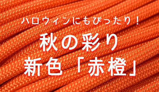 新色入荷！「赤橙（あかだいだい）」！