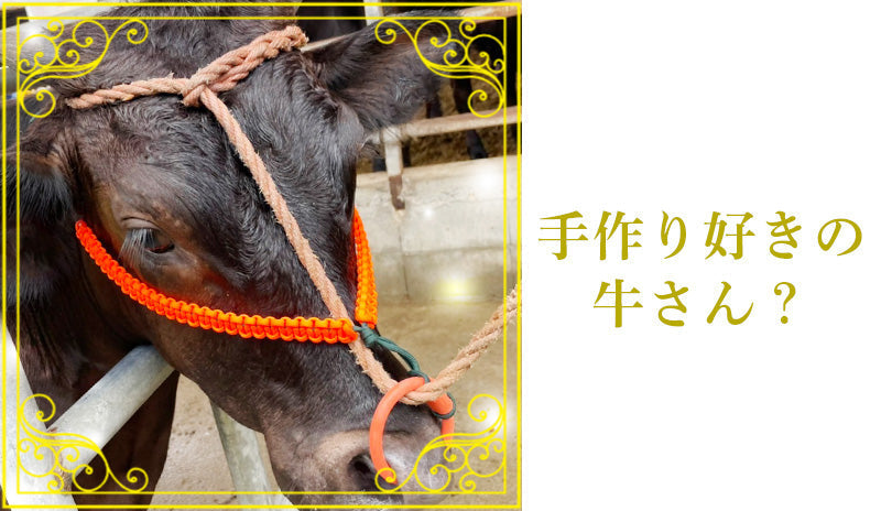 手づくり好きの牛さん？パラコードの意外な活用レポート🐄