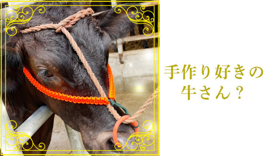 手づくり好きの牛さん？パラコードの意外な活用レポート🐄