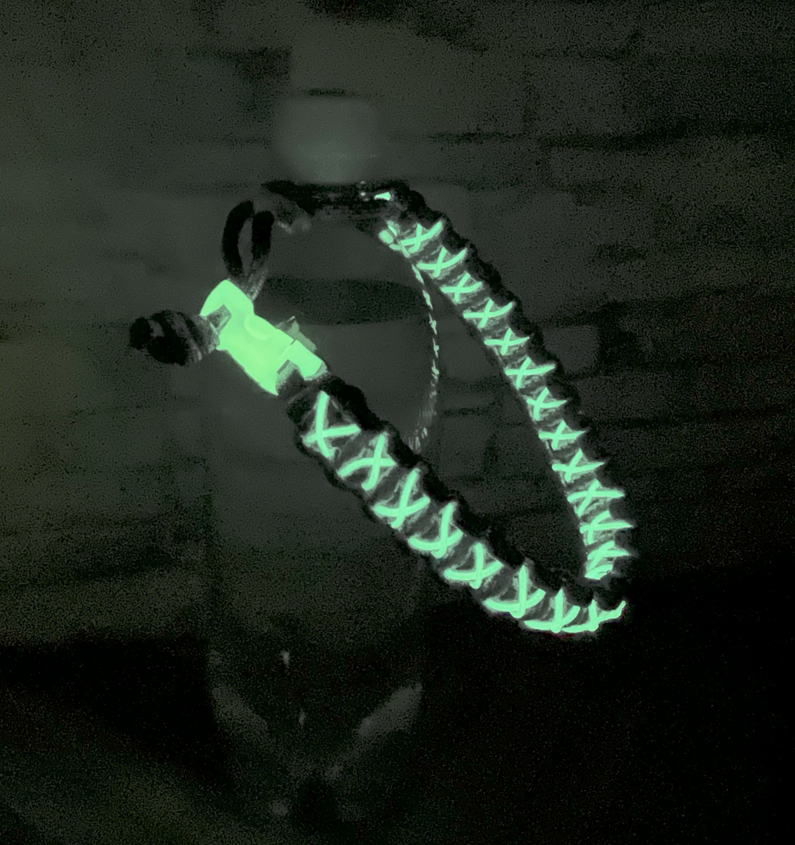 GEOMAG 蓄光 T-SPARK ZONE流通限定商品「ZOIDS ADVANCED Zi」蓄光パーツを使用した